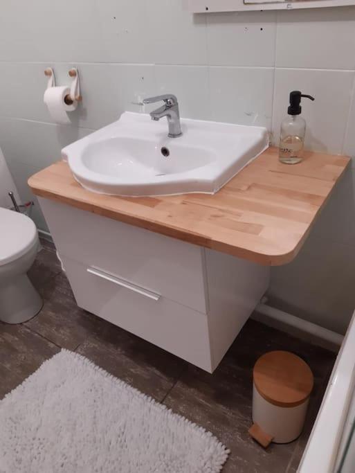 Charmante Maison Renovee, Proche Lac Et Centre-Ville LʼIsle-Jourdain Εξωτερικό φωτογραφία