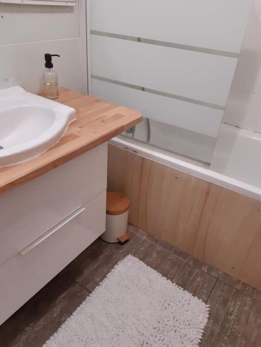 Charmante Maison Renovee, Proche Lac Et Centre-Ville LʼIsle-Jourdain Εξωτερικό φωτογραφία
