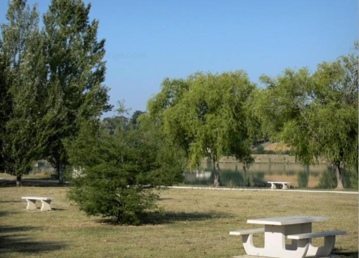 Charmante Maison Renovee, Proche Lac Et Centre-Ville LʼIsle-Jourdain Εξωτερικό φωτογραφία